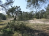 Düne_20200406-24