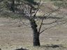 Düne_20200406-30