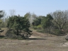 Düne_20200406-31