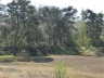 Düne_20200406-32
