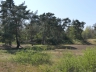 Düne_20200406-33