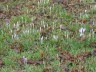 ULB-20240210_014