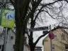 ULB-20240210_040