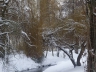 Liederbach