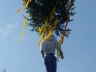 Michelskerb_2014_034