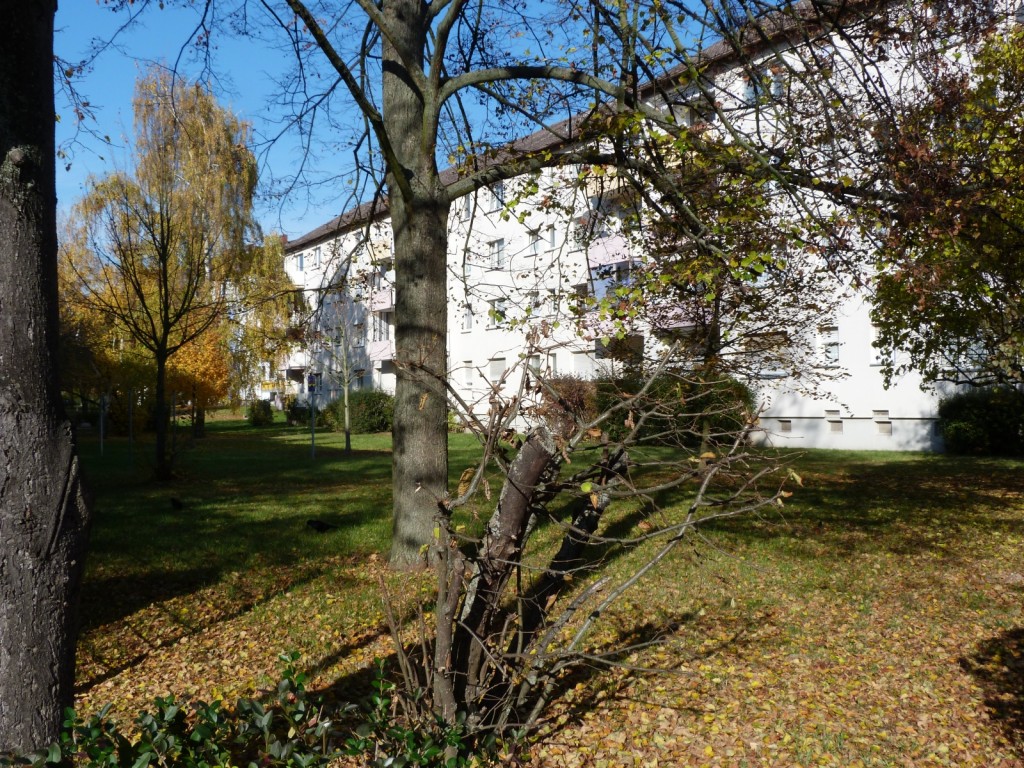 Östliche Sieringstraße, Frankfurt am Main Unterliederbach