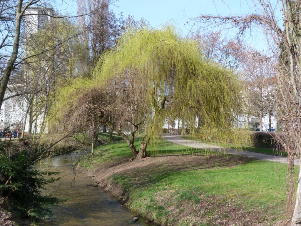 Liederbach in Frankfurt am Main Unterliederbach (Stephanuskirche)