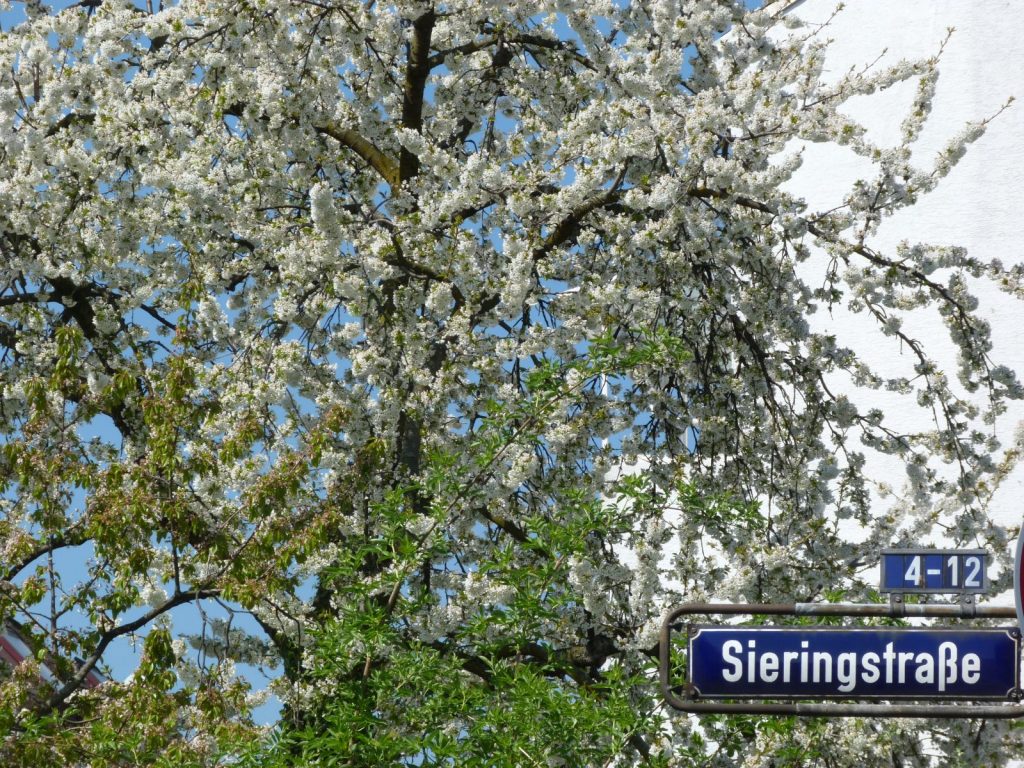 Frankfurt am Main Unterliederbach Sieringstraße