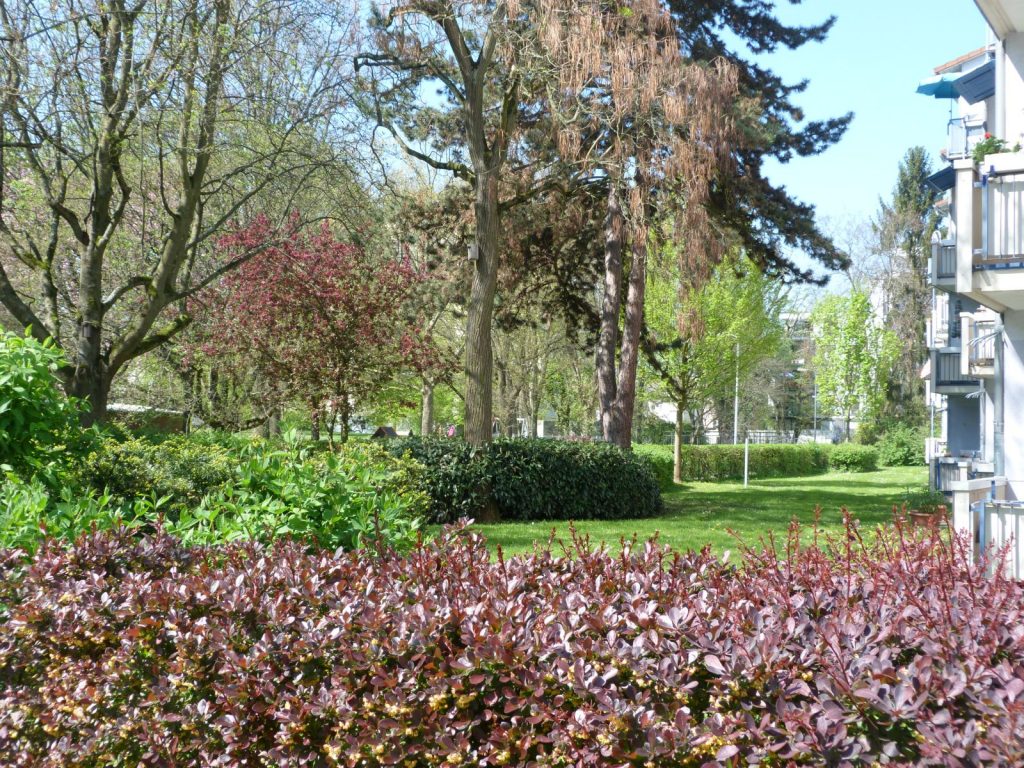 Frankfurt am Main Unterliederbach Johannesallee