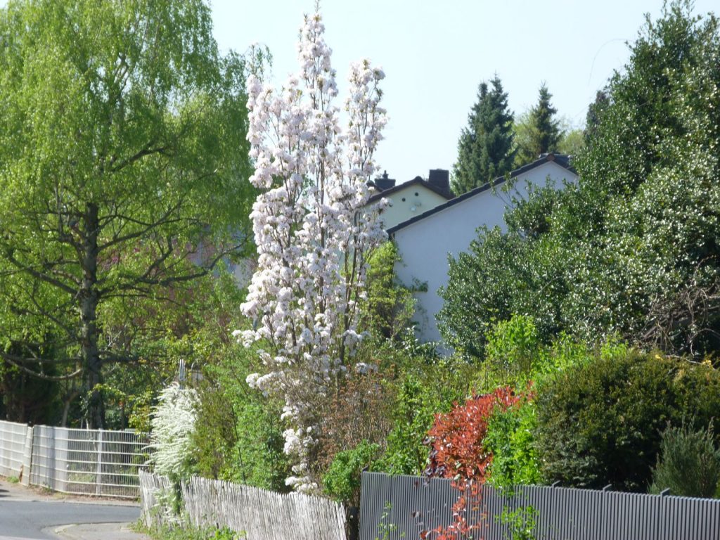 Frankfurt am Main Unterliederbach Vogelviertel