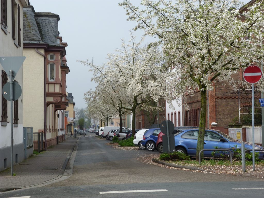 Westliche Euckenstraße in Frankfurt am Main Unterliederbach