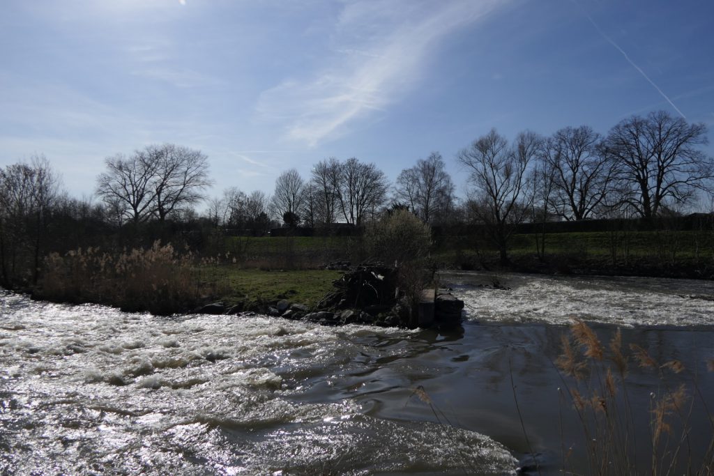 Natur nah gestaltetes Wehr in Frankfurt am Main Höchst, Nidda 