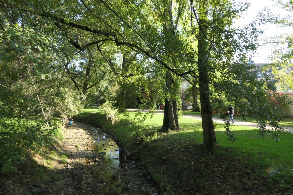 Der Liederbach in Frankfurt am Main Unterliederbach