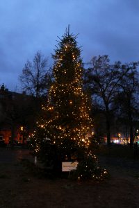 Weihnachtsbaum Dalbergkreisel