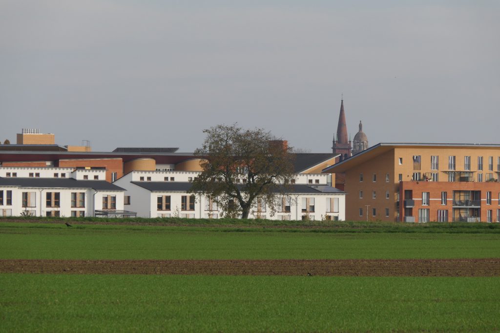 Hortensiering, Frankfurt am Main Unterliederbach