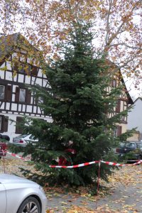 Weinachtsbaum Unterliederbach