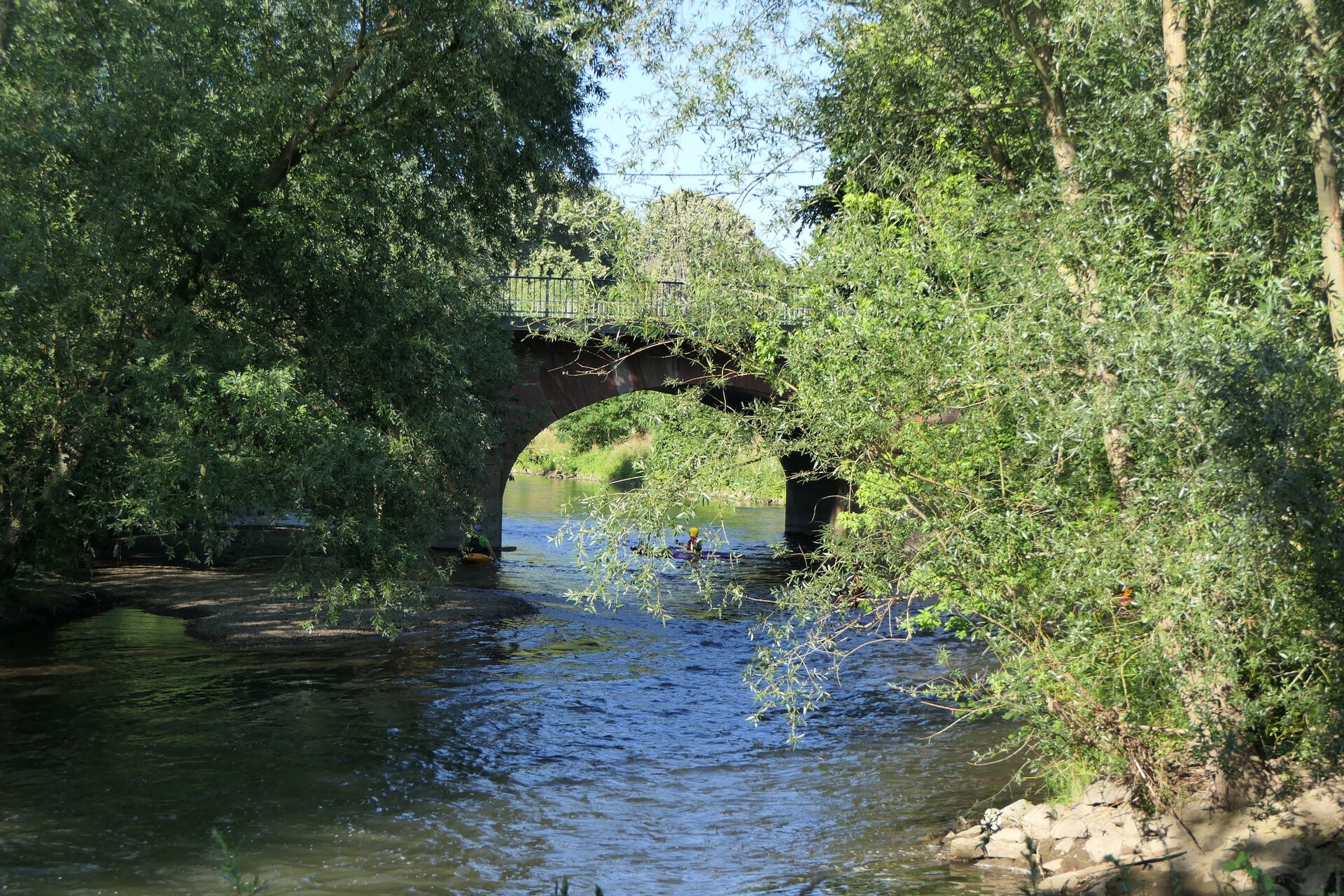 Kanuten auf der Nidda