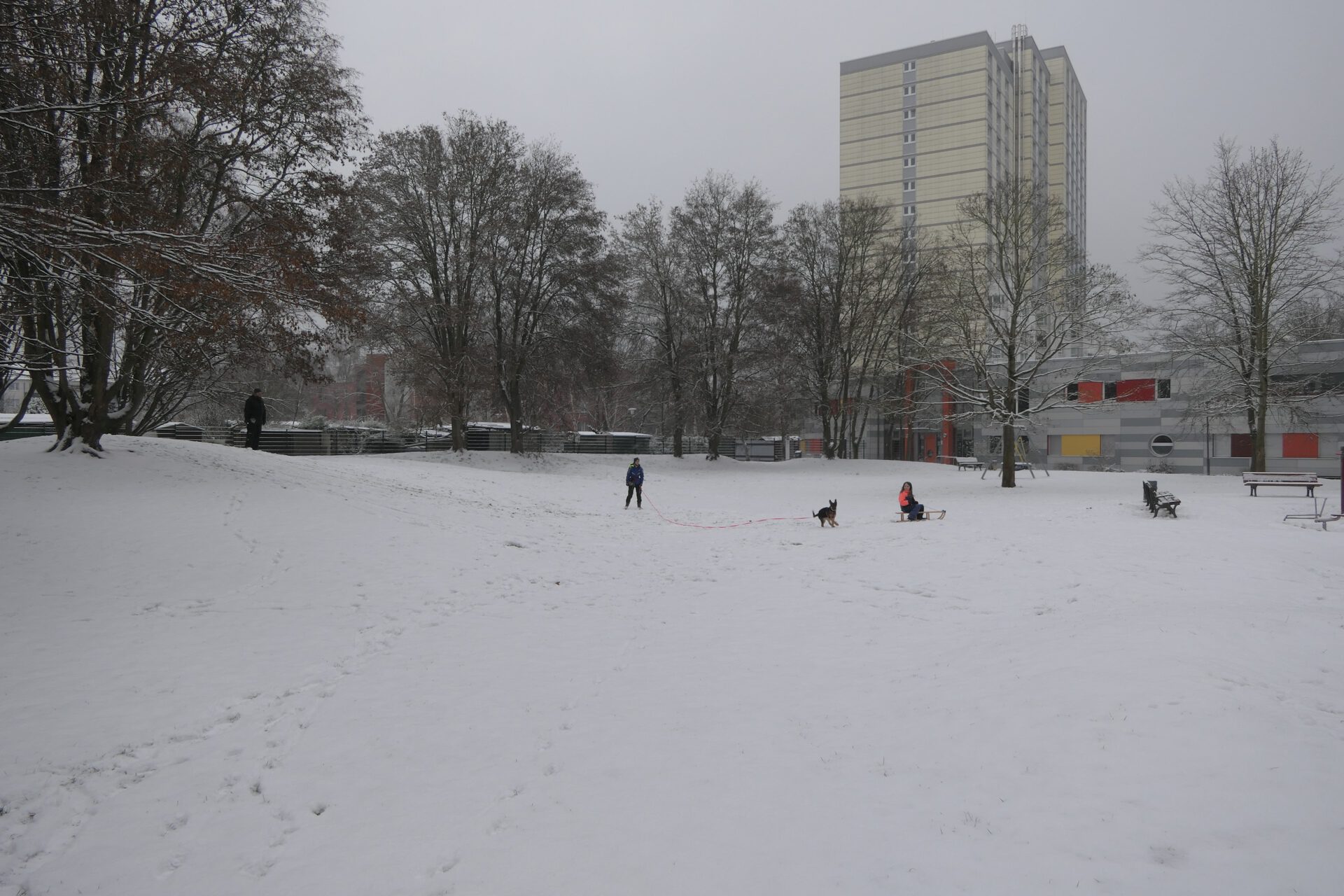 Schnee im Emil-Siering-Park