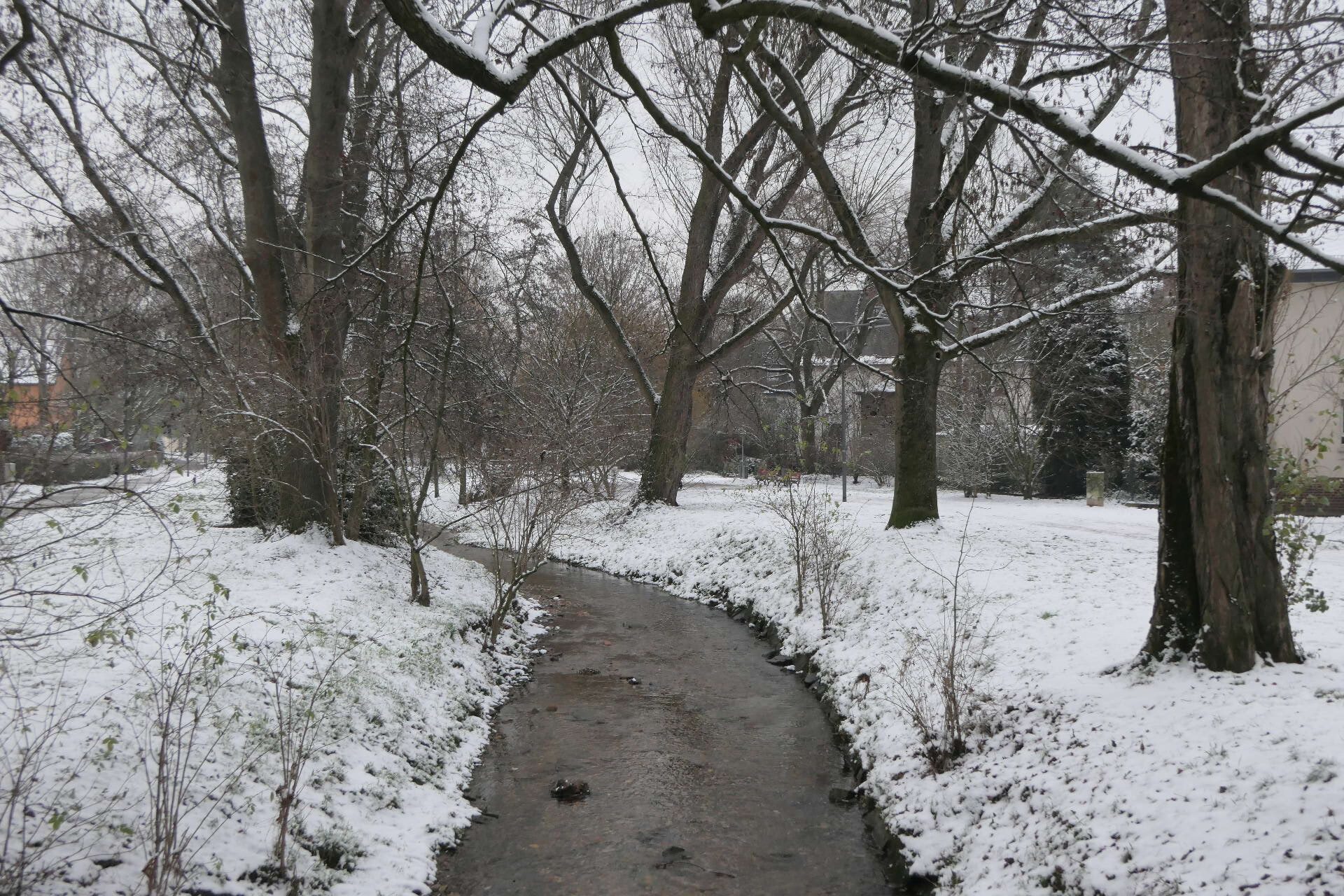 Schnee am Liederbach