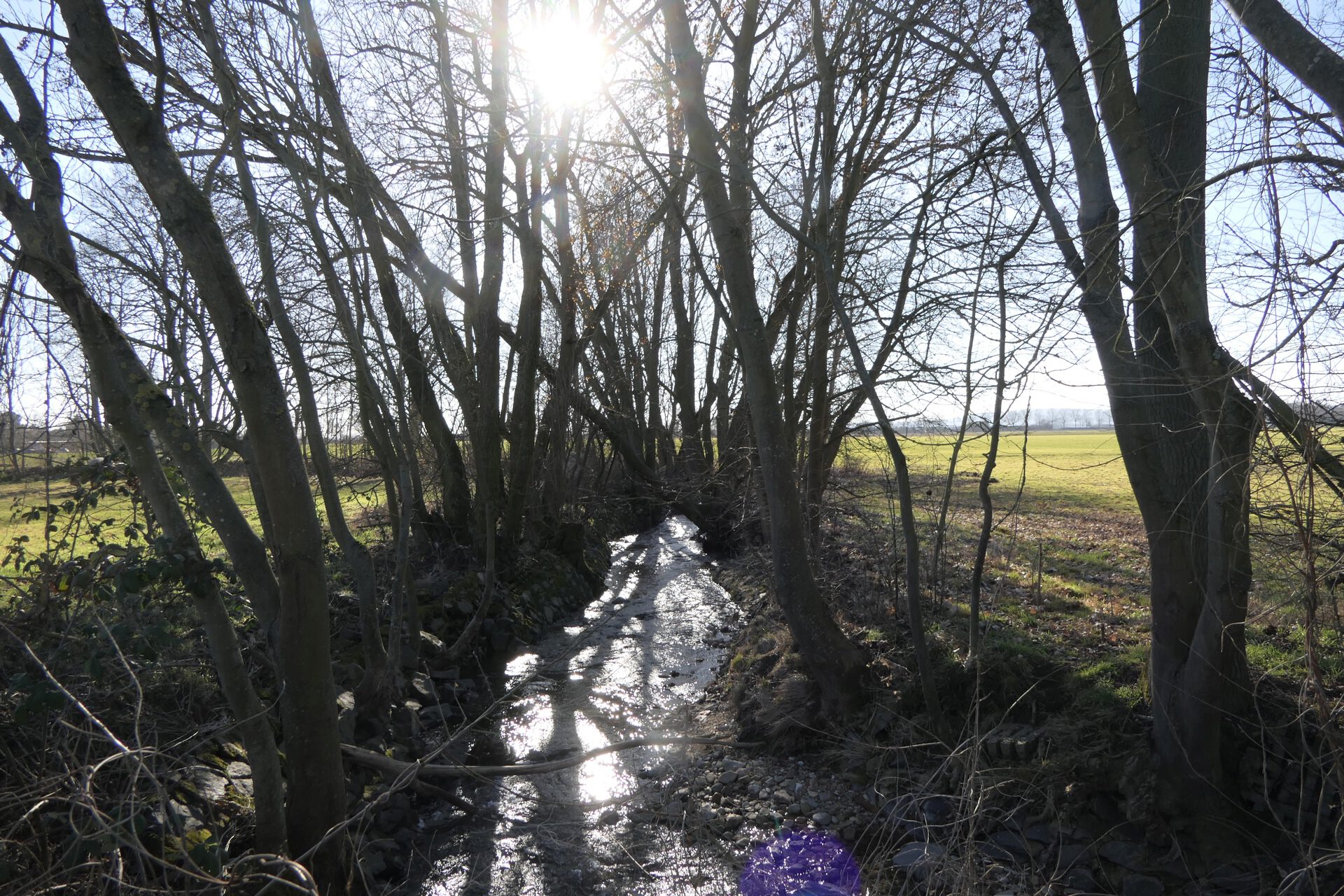 Der Liederbach in Frankfurt am Main Unterliederbach