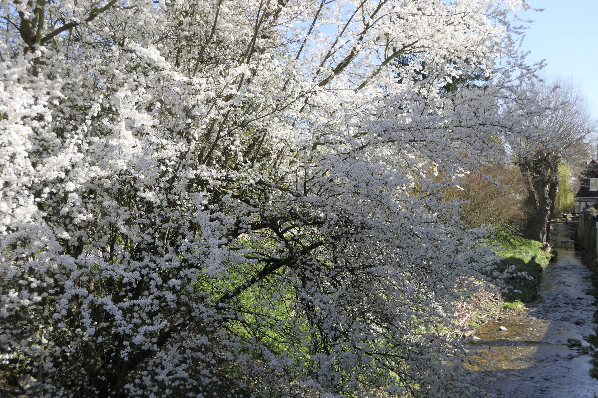 Frankfurt am Main Unterliederbach, Liederbach