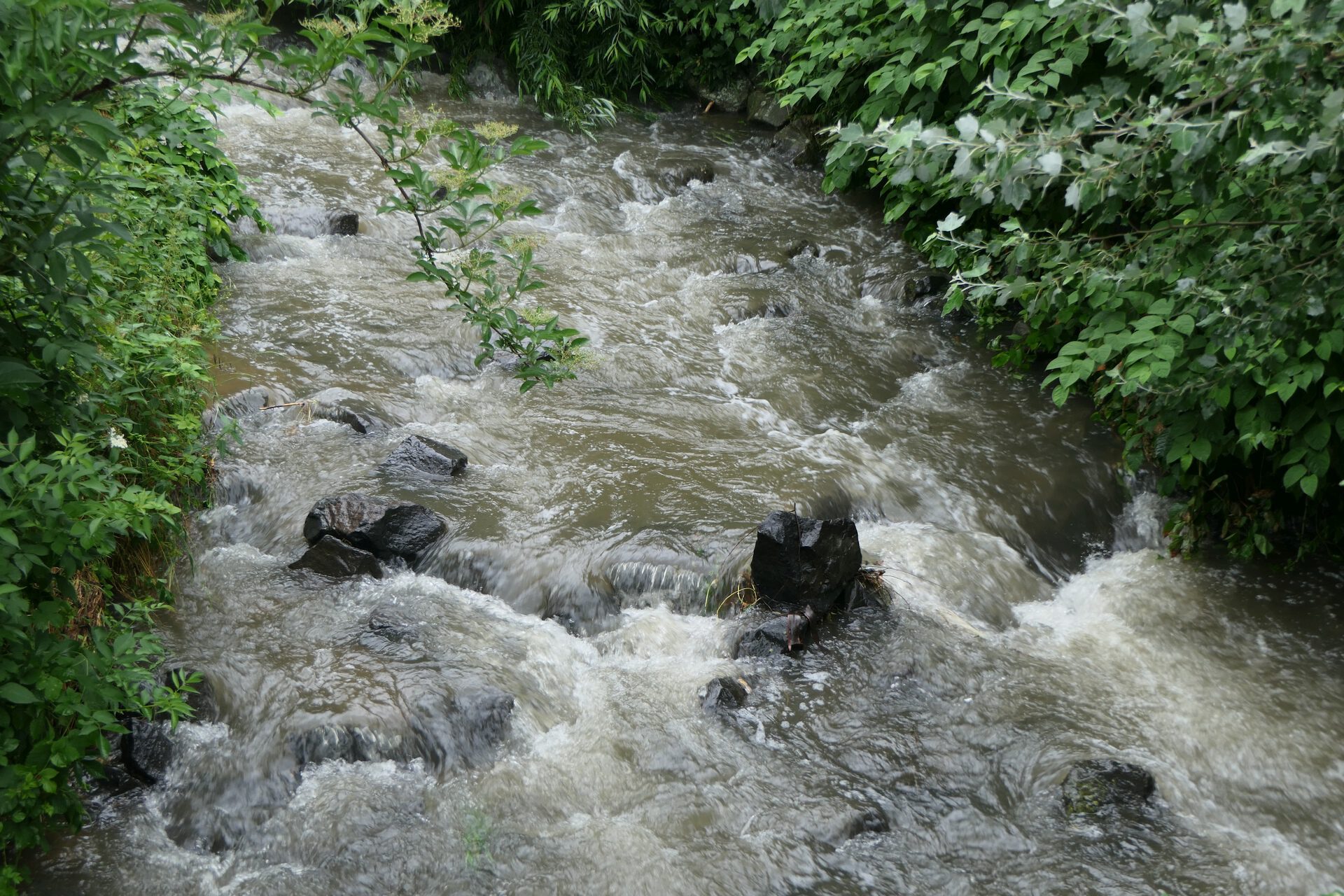 Der Liederbach kurz vor der Peter-Bied-Straße