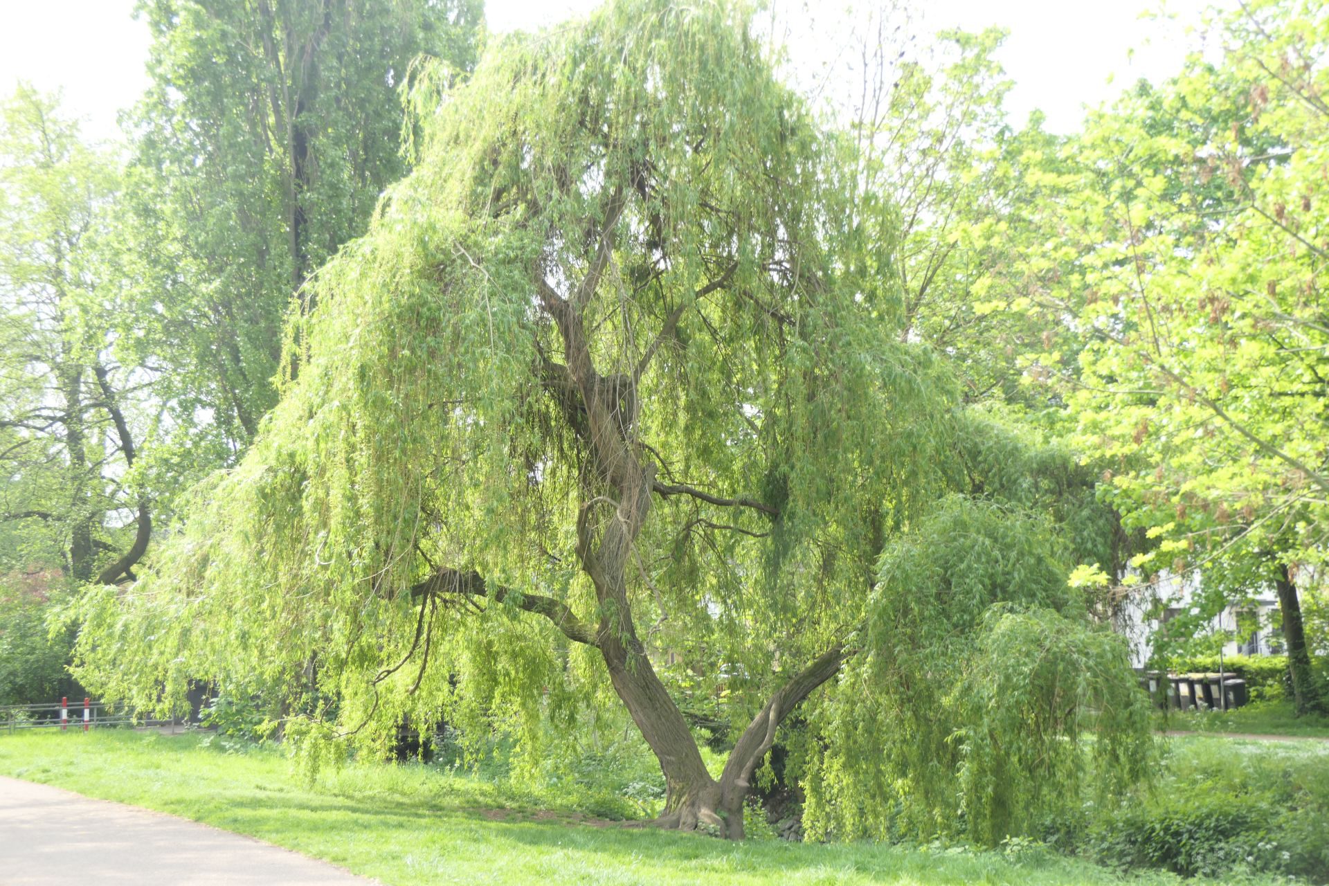 Frankfurt am Main Untrerliederbach, Liederbach