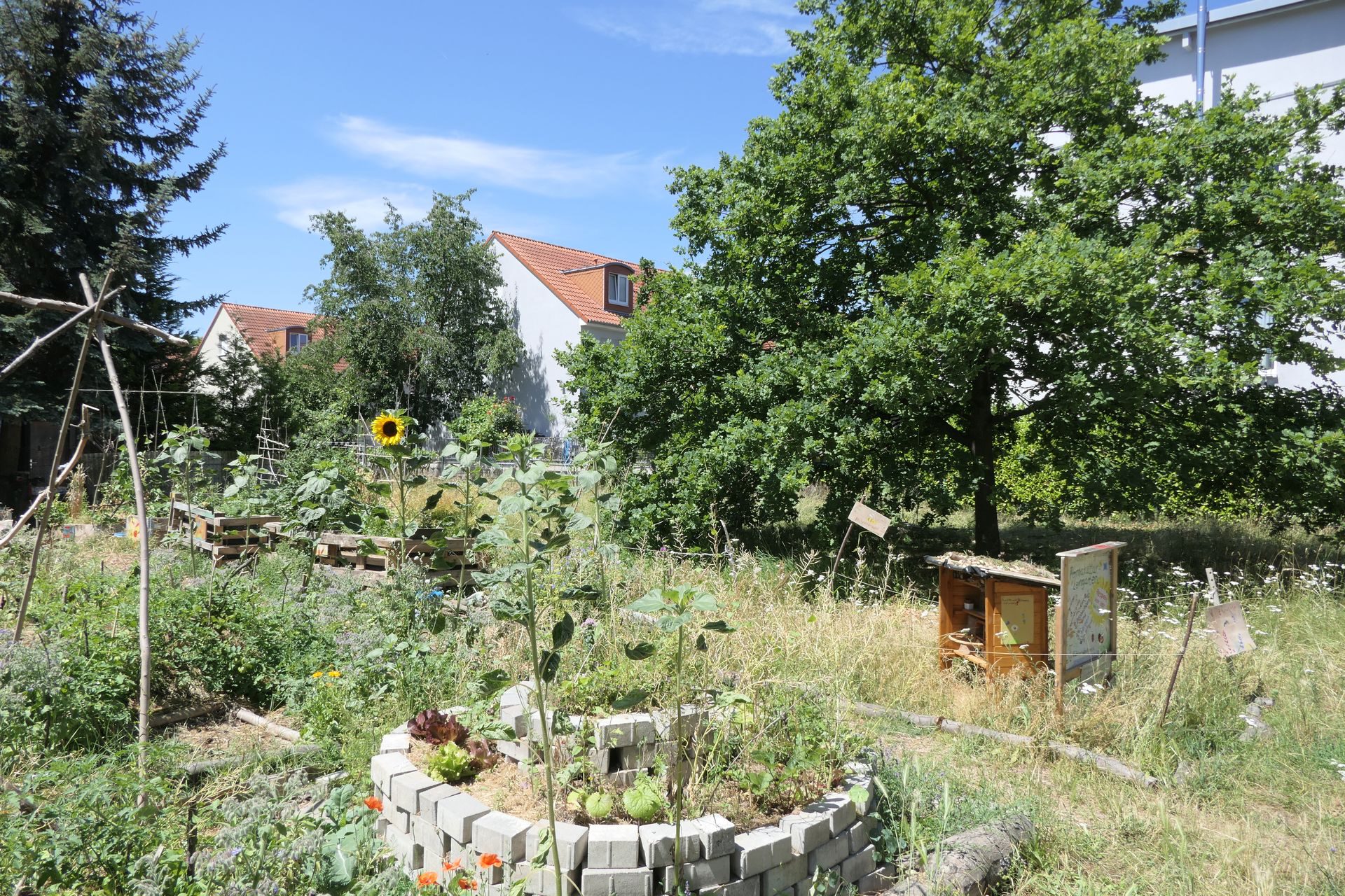 Permakultur- und Lerngarten, Teutonenweg, Frankfurt am Main Unterliederbach