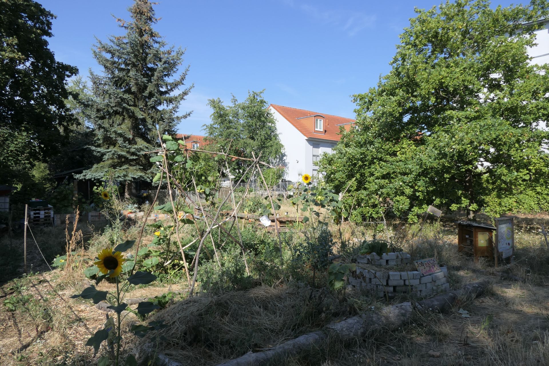 Frankfurt am Main Unterliederbach, Teutonenweg, Permakultur