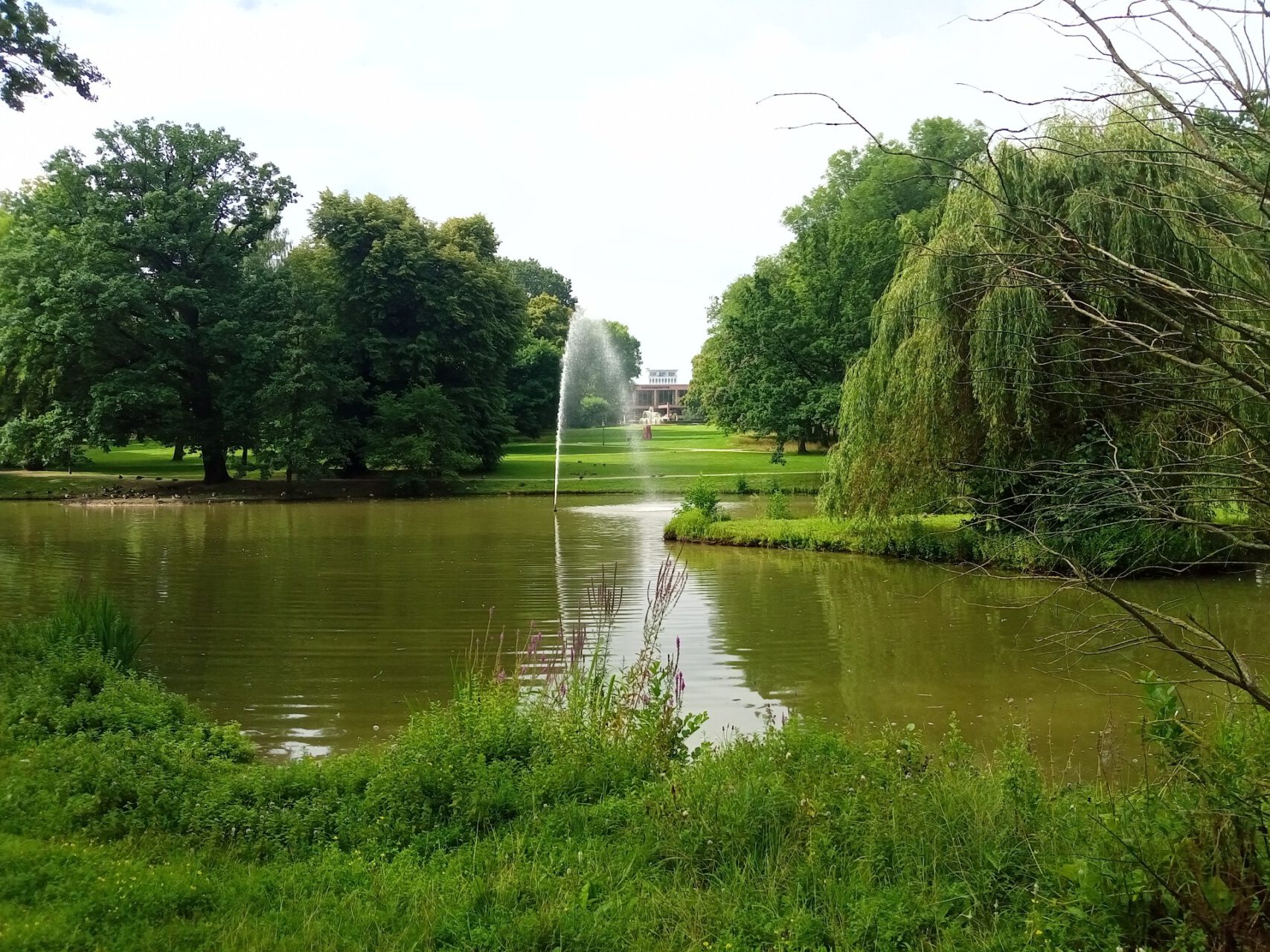 Teich im Kurpark Bad Homburg, Springbrunnen und Kongresscenter im Hintergrund