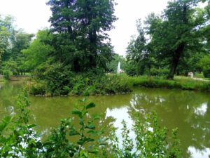 Teich im Kurpark Bad Homburg