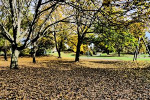 Frankfurt am Main Unterliederbach, Herbst