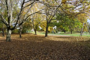 Frankfurt am Main Unterliederbach, Herbst