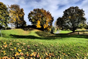 Frankfurt am Main Unterliederbach, Herbst