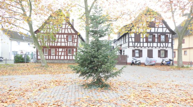 Frankfurt am Main Unterliederbach, Weihnachtsbaum