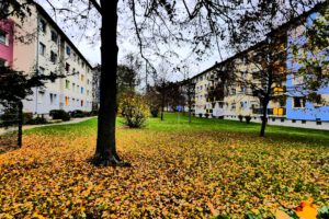 Frankfurt am Main Unterliederbach, Sieringstraße