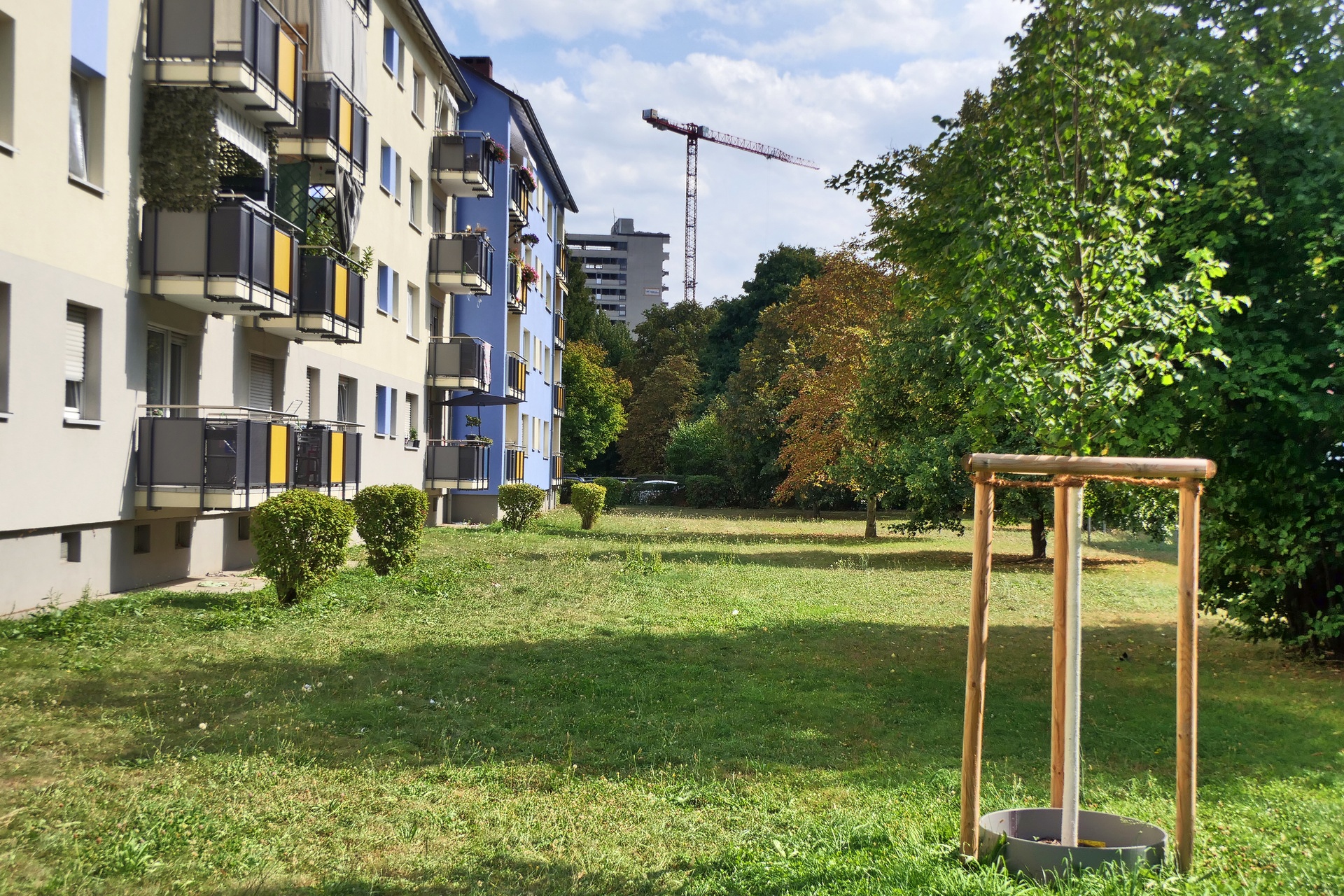 Frankfurt am Main, Unterliederbach, Sieringstraße