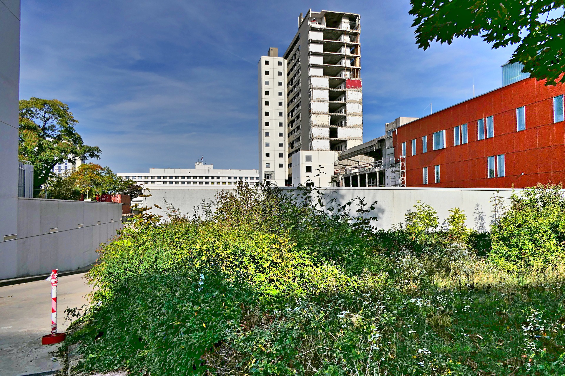 Frankfurt am Main, Höchst, Klinikum, altes Bettenhaus