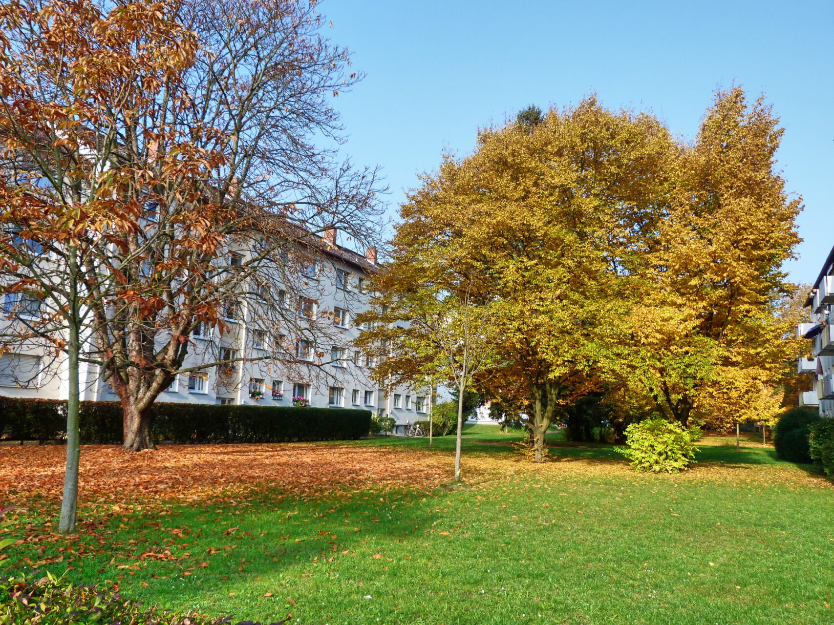 Frankfurt am Main, Unterliederbach, Sieringstraße