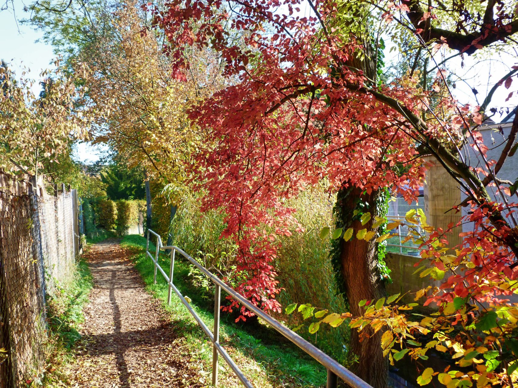 Frankfurt am Main, Unterliederbach, Liederbach