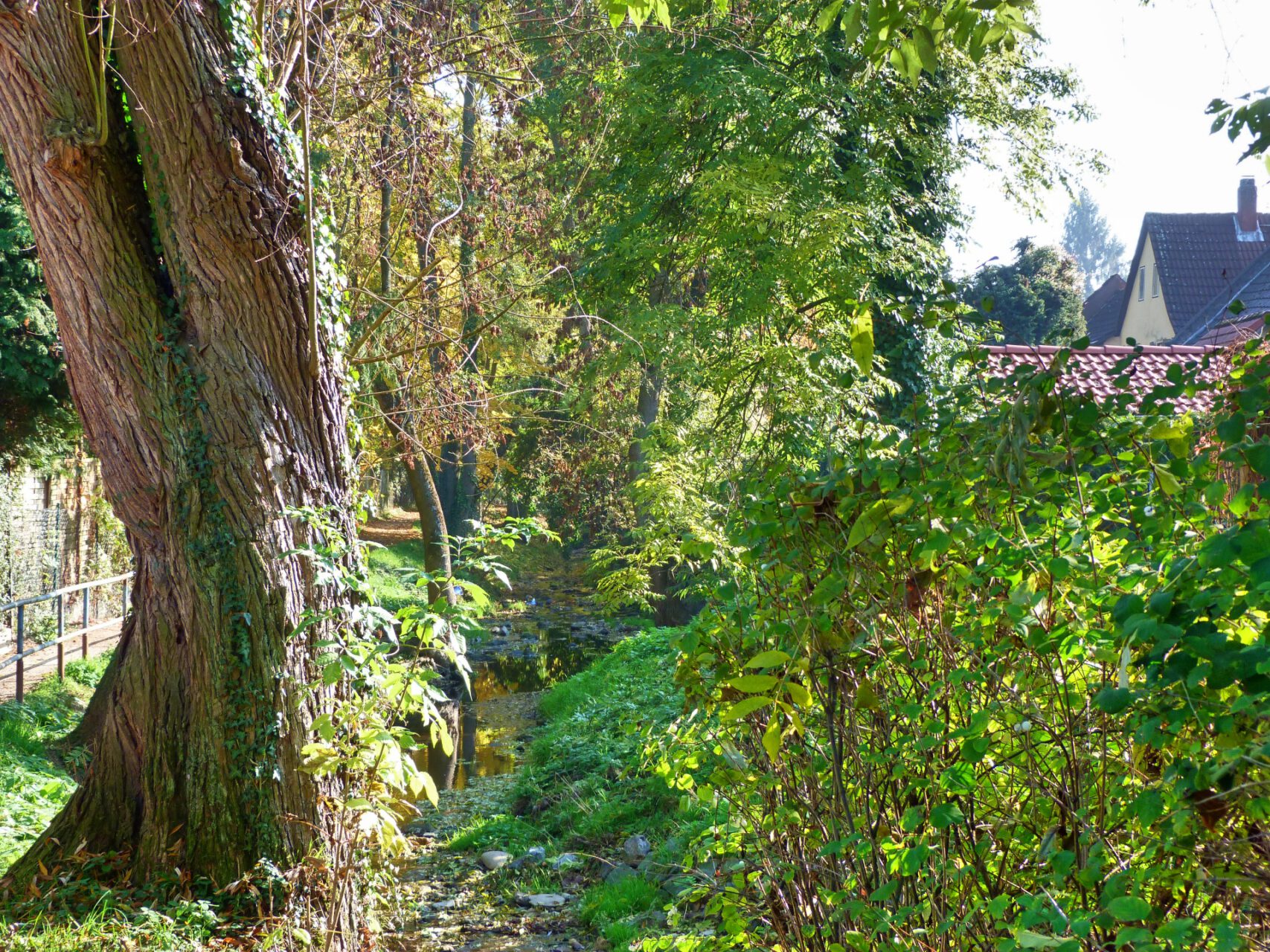 Frankfurt am Main, Unterliederbach, Liederbach