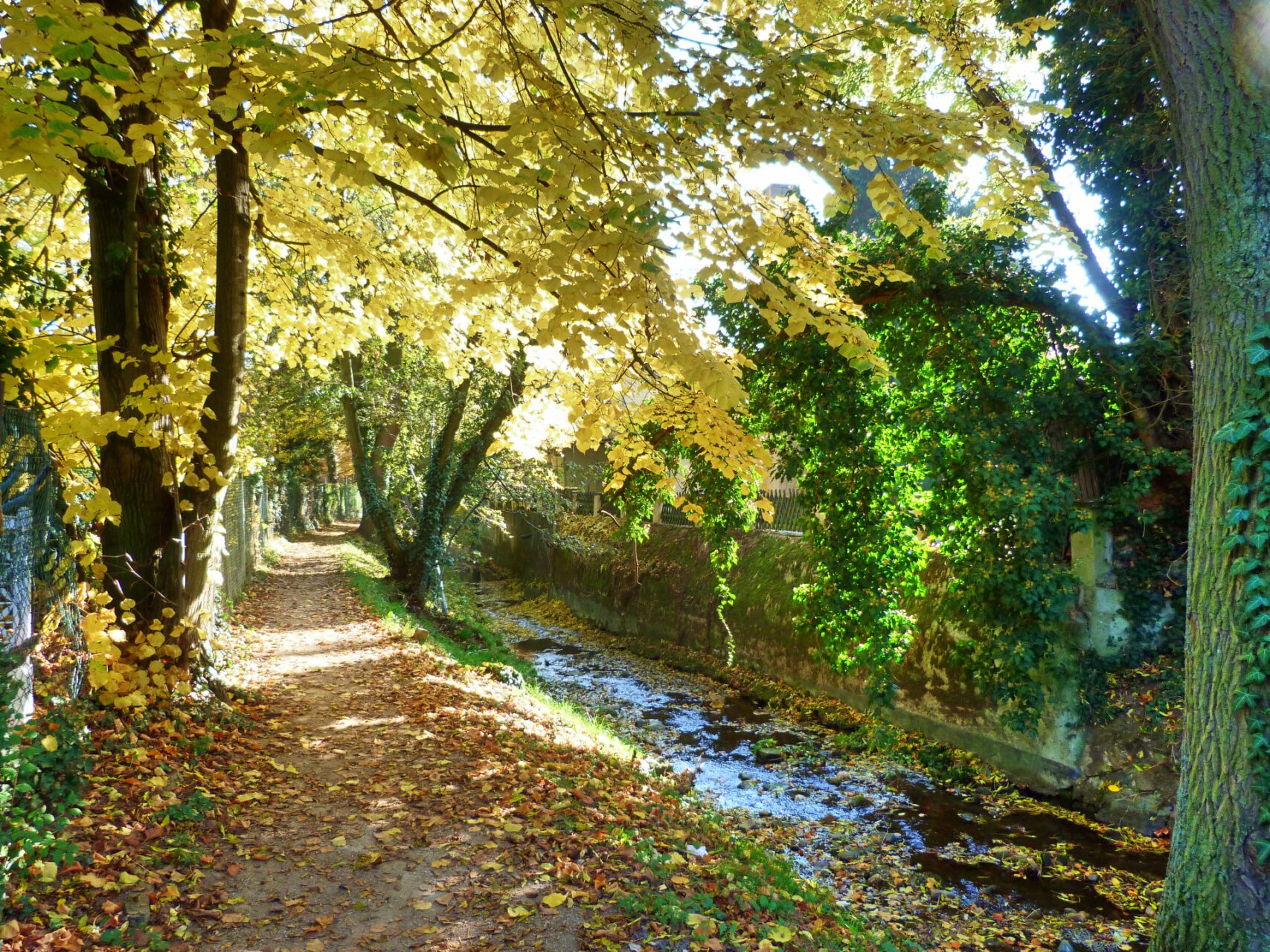 Frankfurt am Main, Unterliederbach, Liederbach
