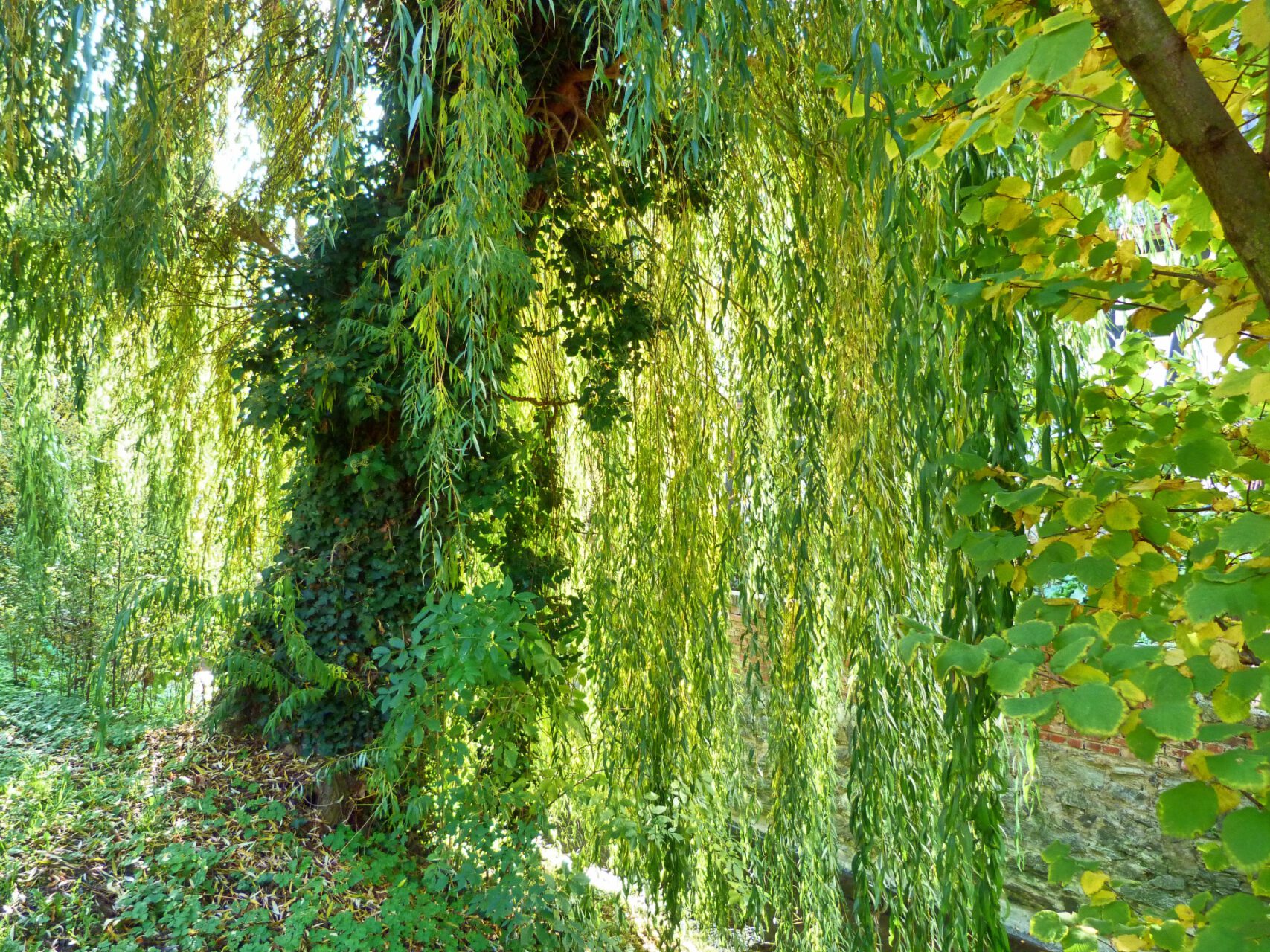 Frankfurt am Main, Unterliederbach, Liederbach