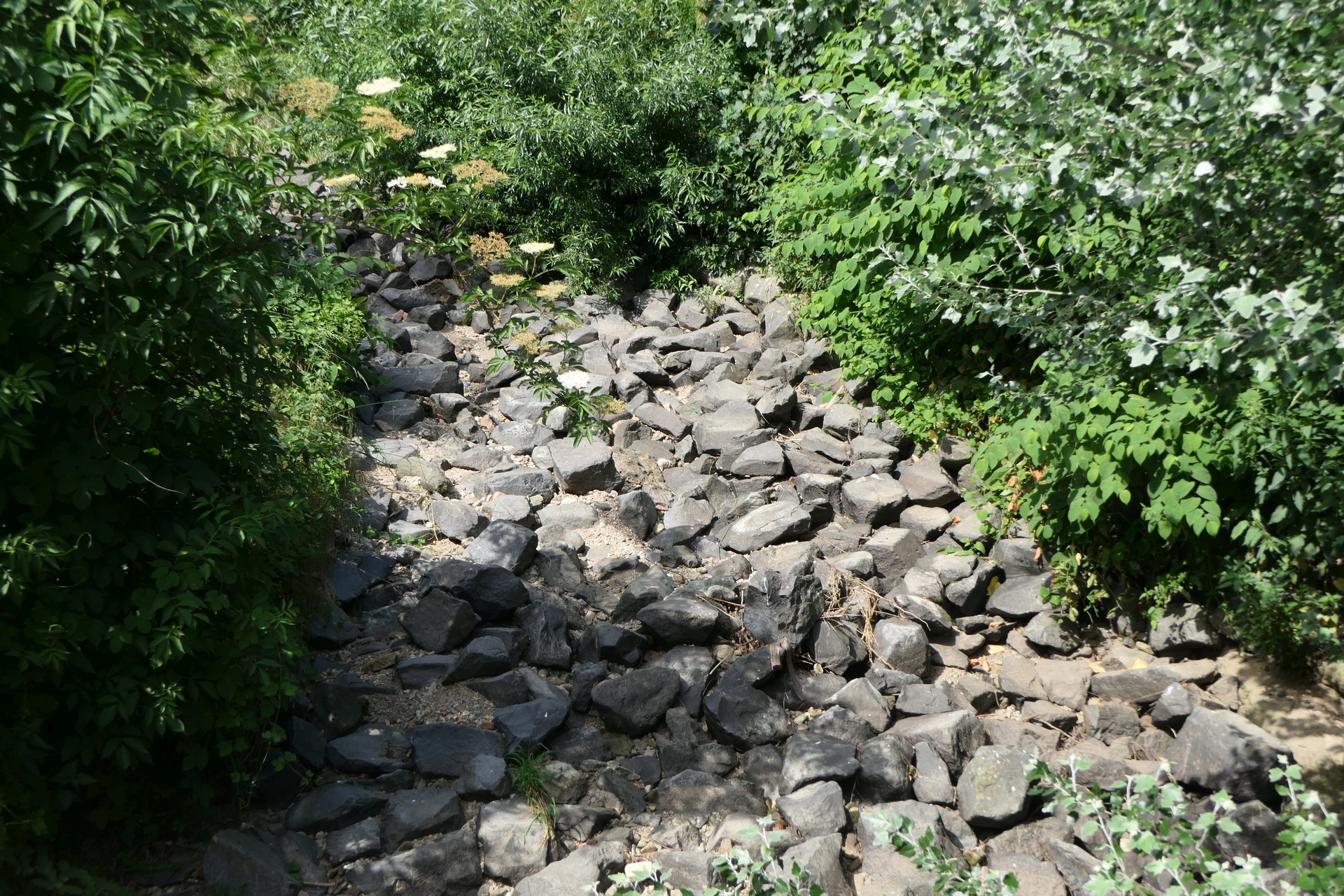 Frankfurt am Main, Unterliederbach, Liederbach