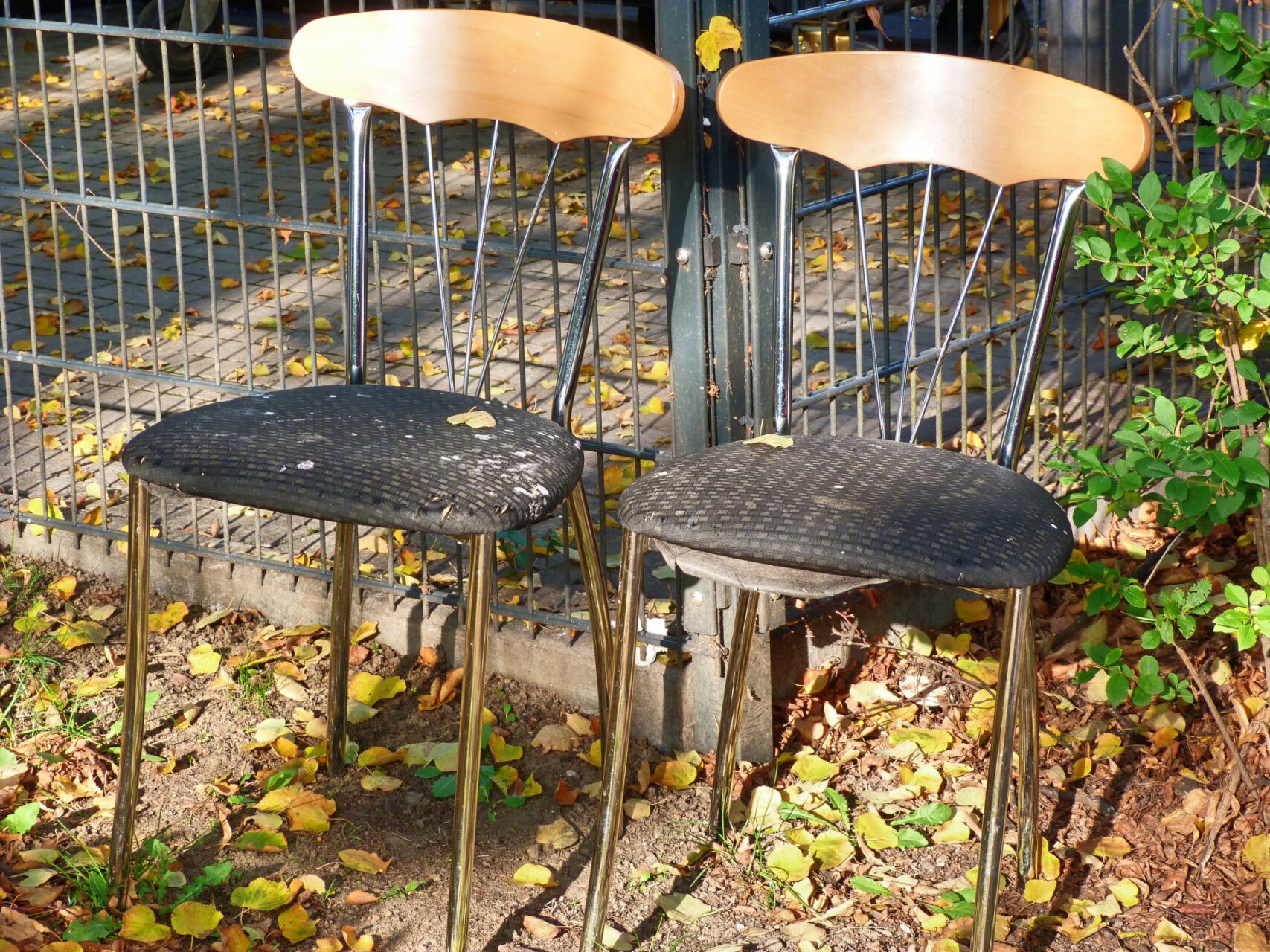 Frankfurt am Main, Unterliederbach, Sieringstraße, Paar