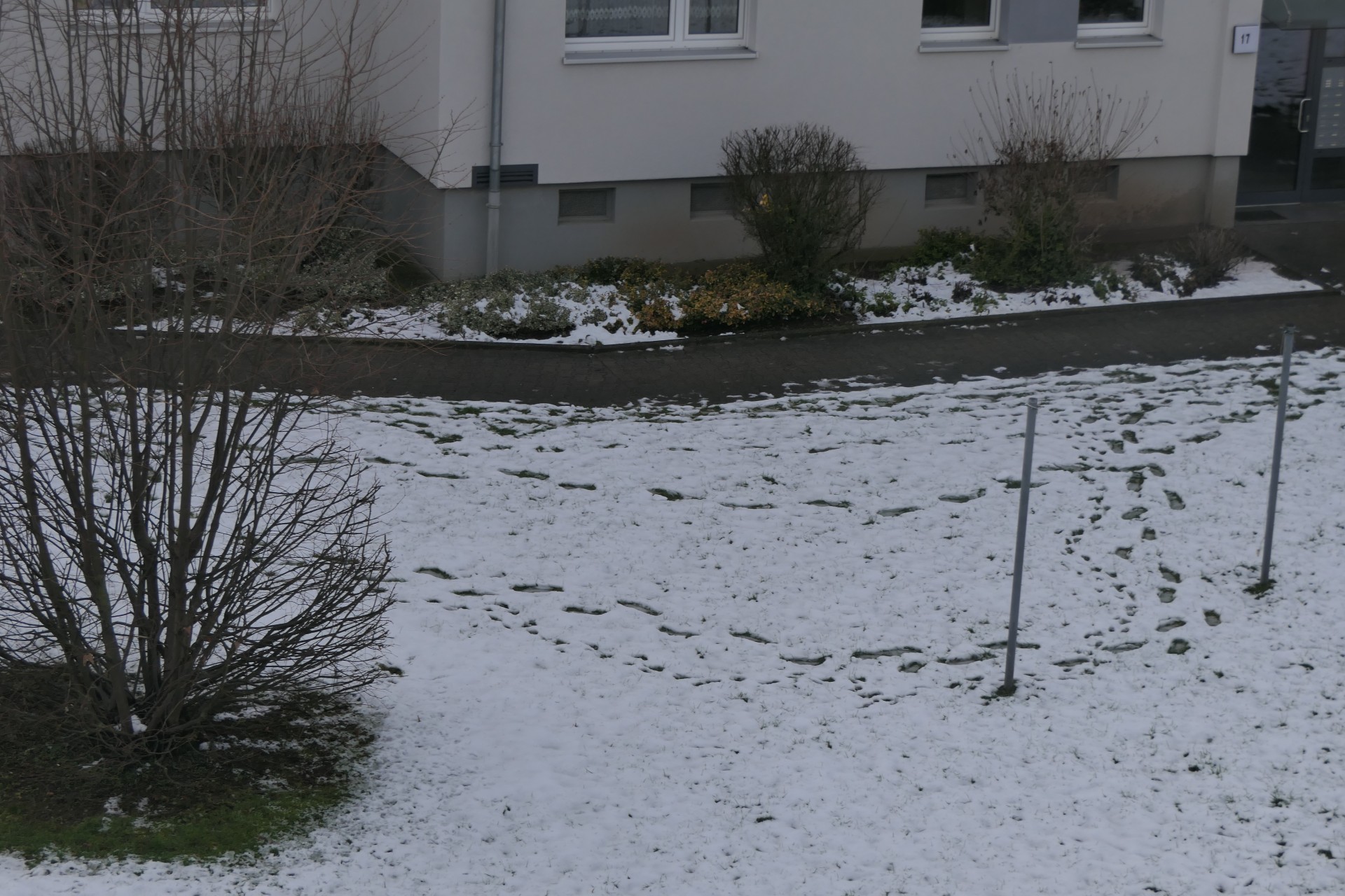 Frankfurt am Main, Unterliederbach, Spuren im Schnee