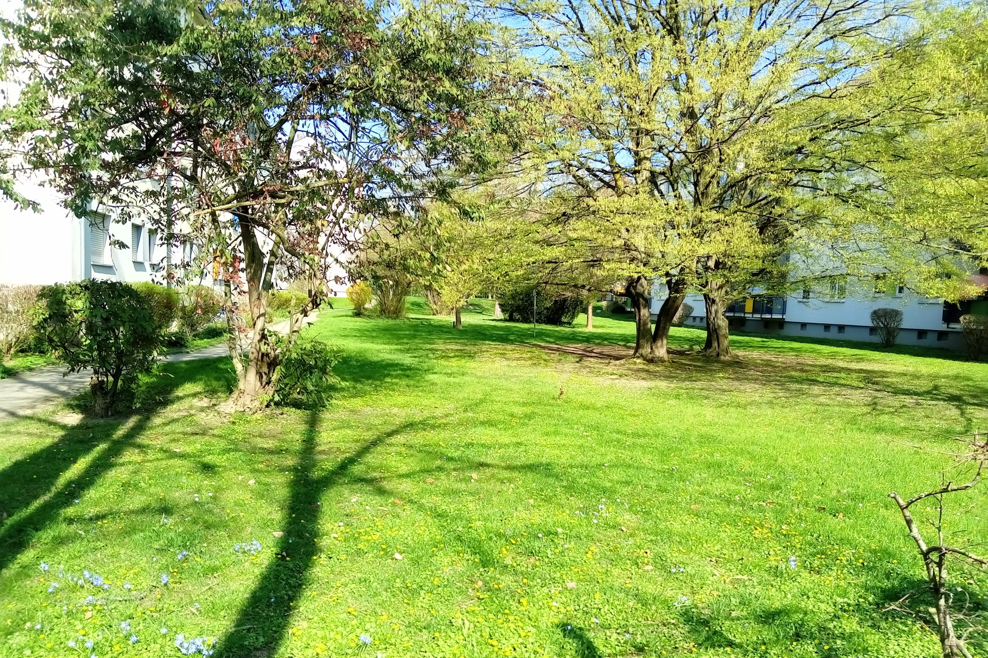 Frankfurt am Main, Unterliederbach, Sieringstraße, Grünfläche