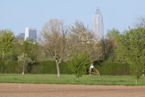 Frankfurt am Main, Schwanheim, Unterfeld, Bogenschießen