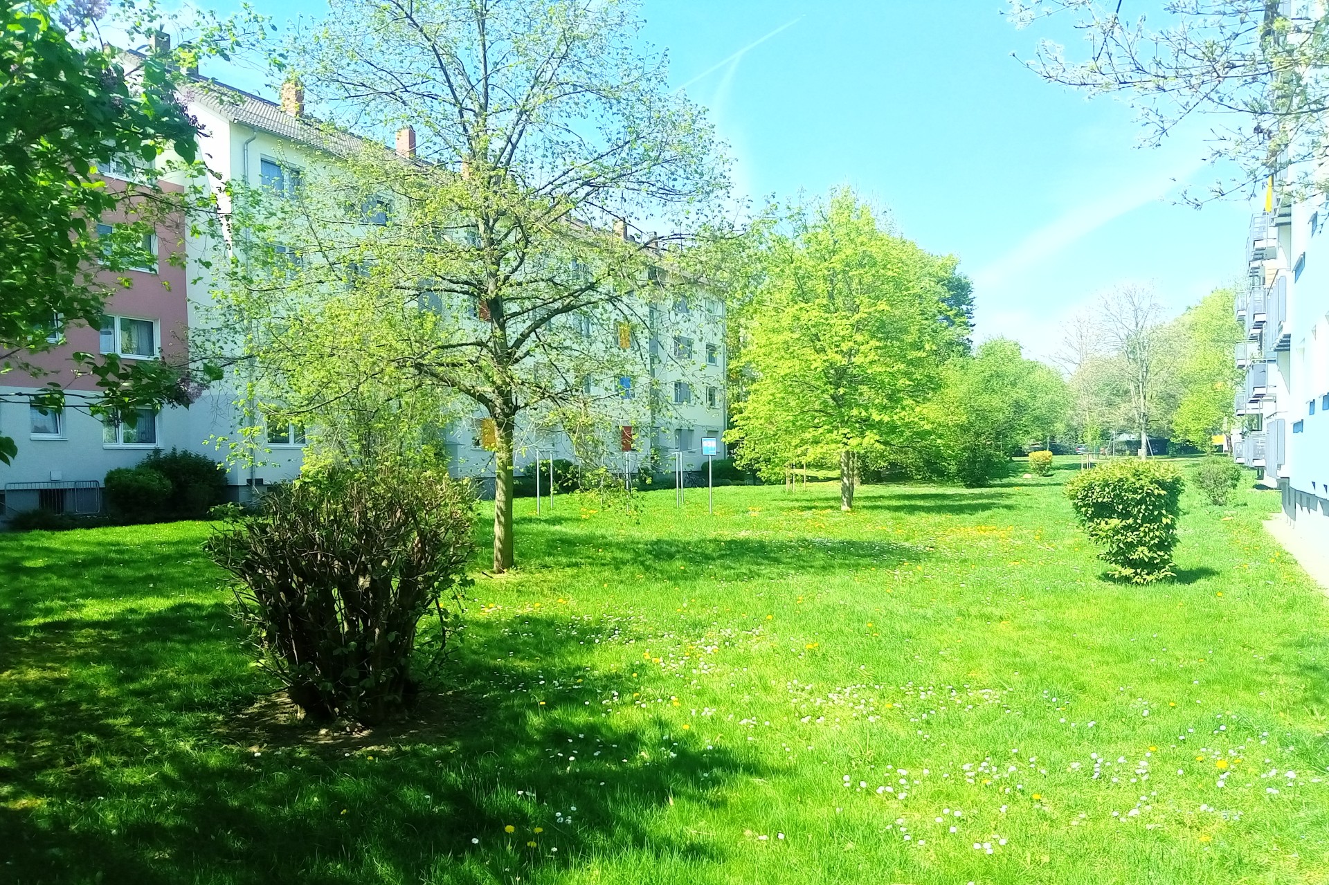 Frankfurt am Main, Unterliederbach, Sieringstraße, Grün