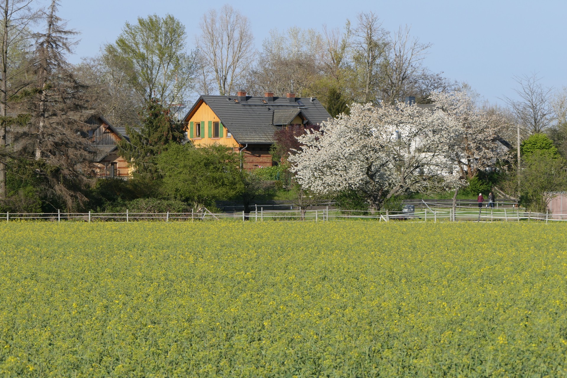 Frankfurt am Main, Schwanheim, Unterfeld, Höchster Weg